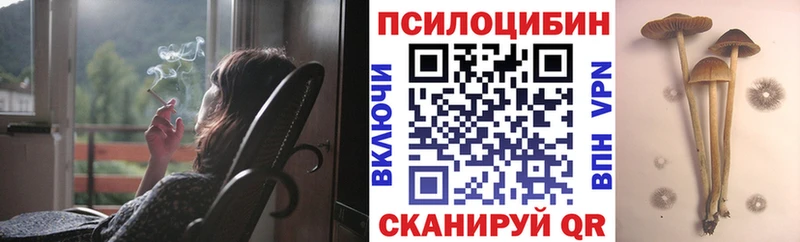Псилоцибиновые грибы мицелий  как найти наркотики  Пушкино 